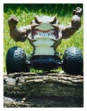 Little YaTu climbing logs